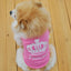 4PCS Dog Summer Sweatshirt Puppy Cute Vest for Small Pet - iTalkPet