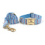 5 PCS Personalized Dog Collar & Harness Leash Set - iTalkPet