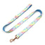 5 PCS Personalized Dog Collar & Harness Leash Set - iTalkPet