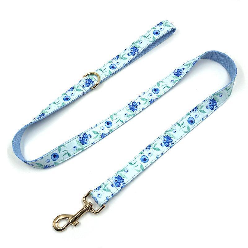 5 PCS Personalized Dog Collar & Harness Leash Set - iTalkPet