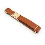 Print Personalized Dog Collars with Leash Set