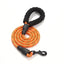 5FT Dog Leash with Comfortable Padded Handle and Highly Reflective Threads - iTalkPet