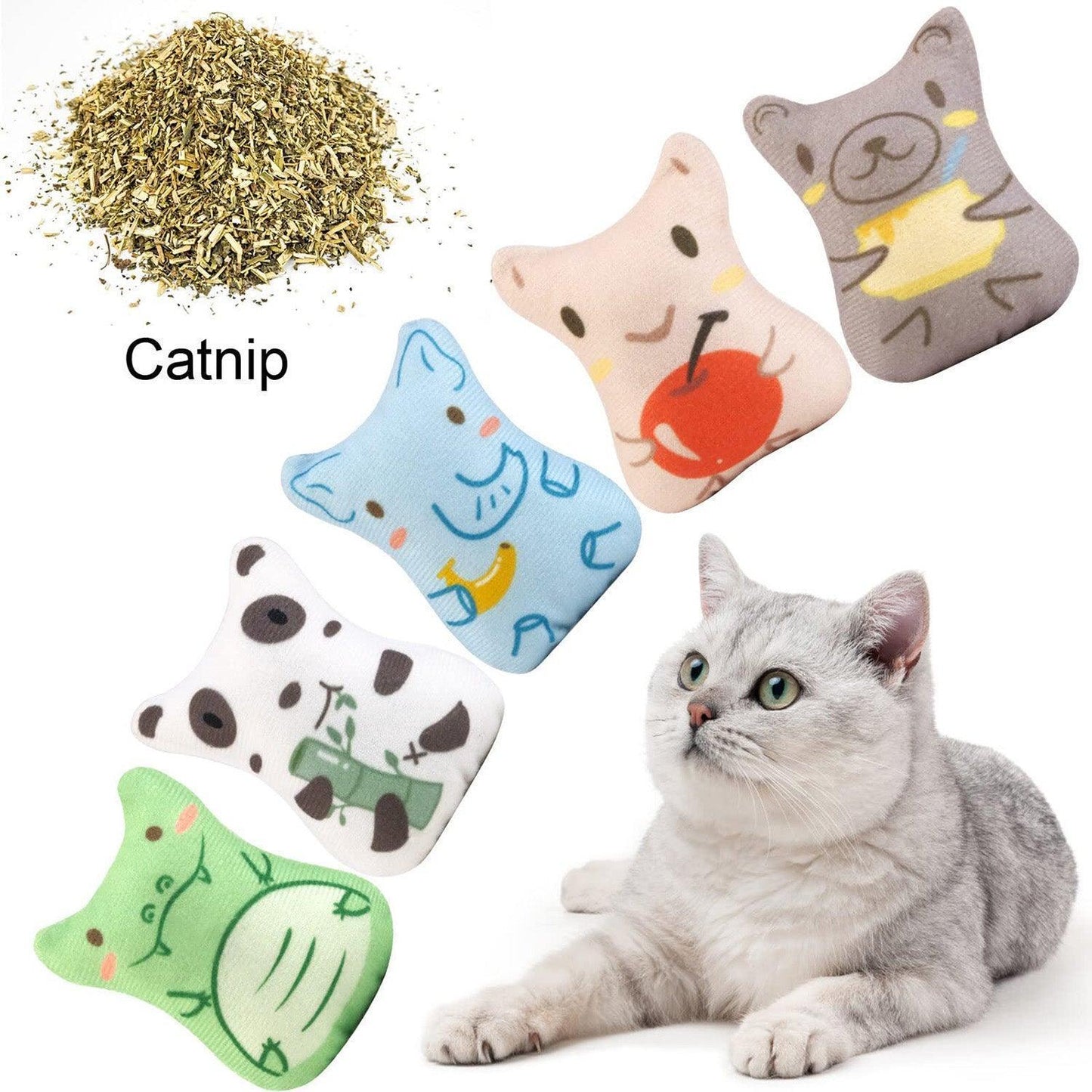 5Pcs Catnip Toy Bite Resistant Chew Toys for Cat - iTalkPet