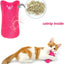 5Pcs Catnip Toy Bite Resistant Chew Toys for Cat - iTalkPet