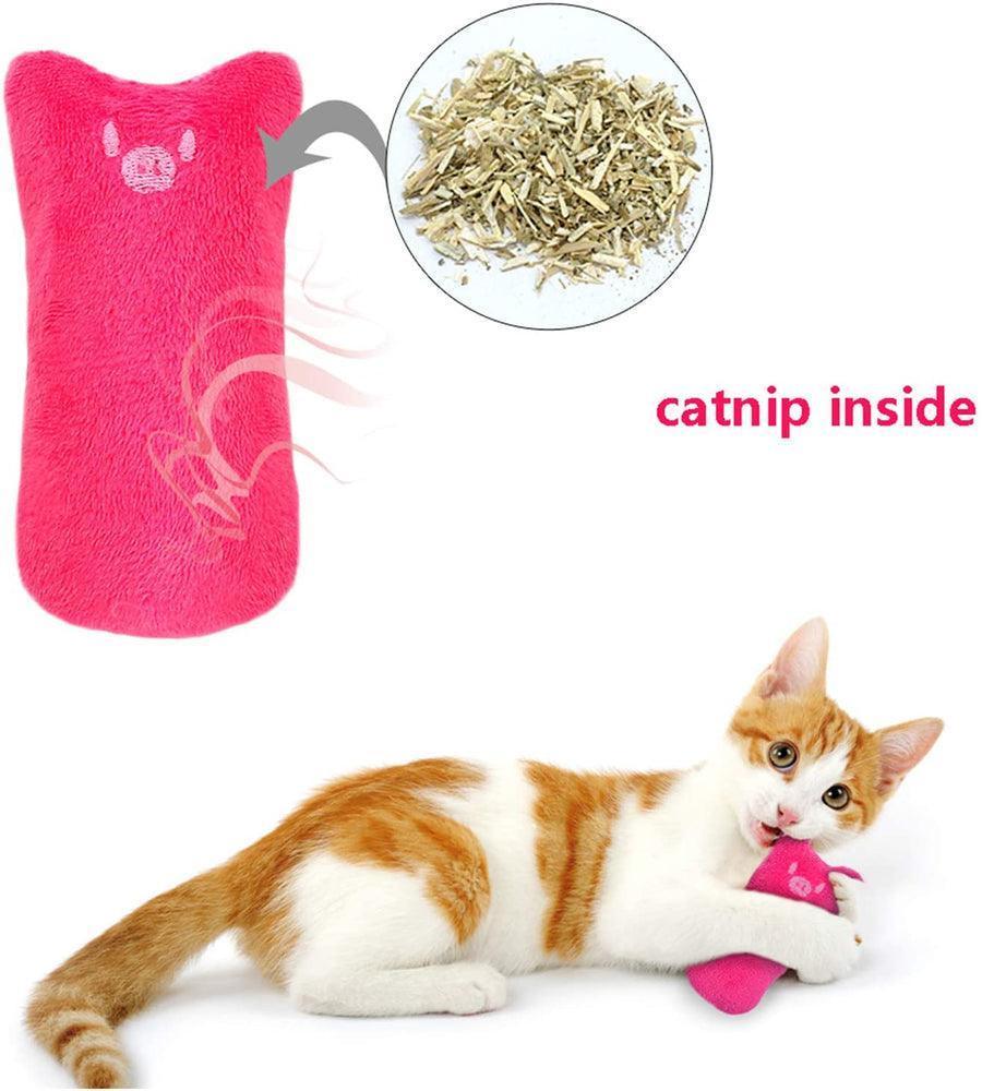 5Pcs Catnip Toy Bite Resistant Chew Toys for Cat - iTalkPet