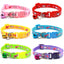 6 PCS Adjustable Cat Collar with Bell - iTalkPet