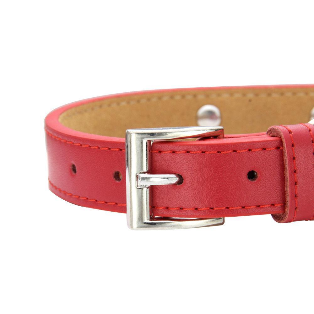 Leather Adjustable Personalized Dog Collar - iTalkPet