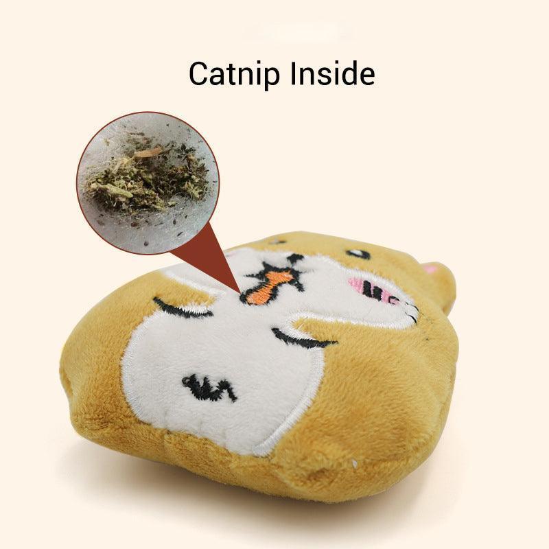 6PCS Cute Catnip Cat Toys - iTalkPet