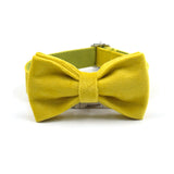 Velvet Custom Dog Collar With Bow Tie & Leash Set