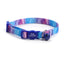 Cute Personalized Breakaway Cat Collar with Bell