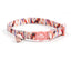 Cute Personalized Breakaway Cat Collar with Bell