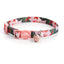 Cute Personalized Breakaway Cat Collar with Bell