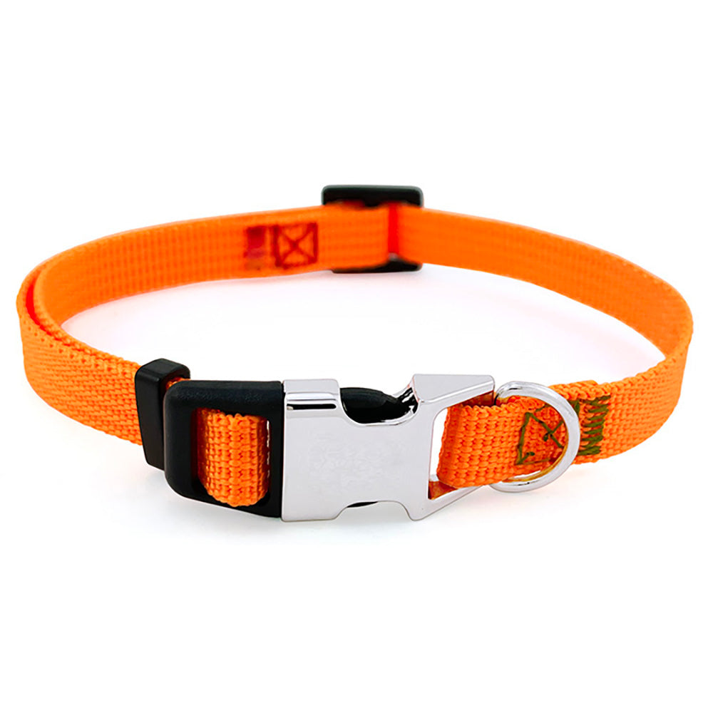 Personalized Nylon Cat Collar 2 Pack Set