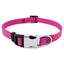 Personalized Nylon Cat Collar 2 Pack Set