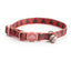 Cute Personalized Breakaway Cat Collar with Bell