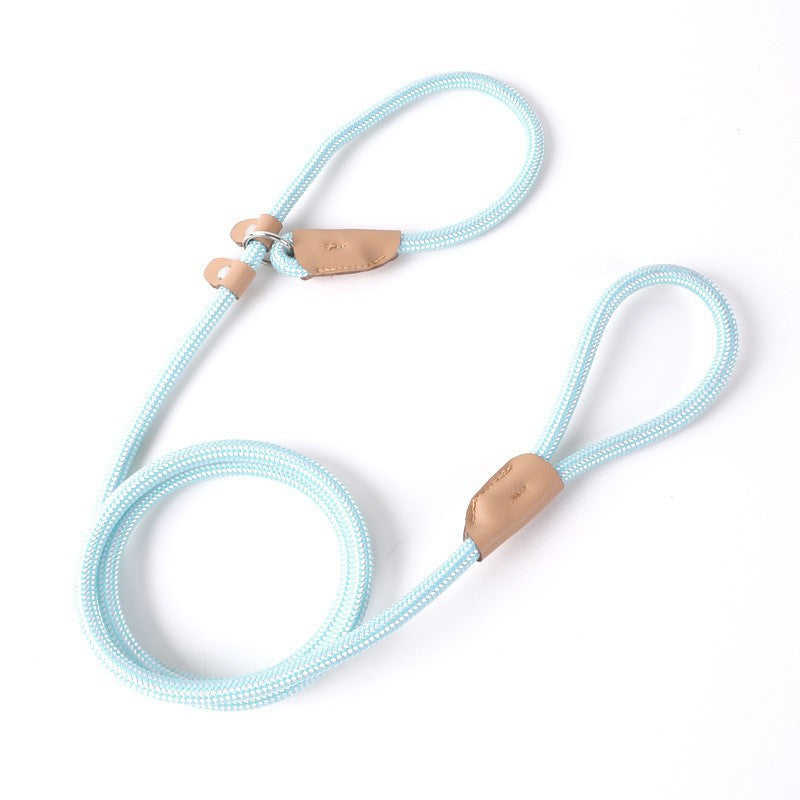 Nylon Strong Slip Lead Dog Leash - Training Leash for Medium Large Dogs