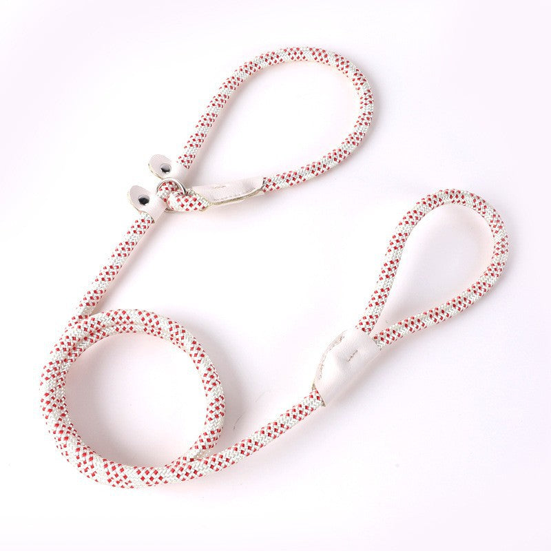 Nylon Strong Slip Lead Dog Leash - Training Leash for Medium Large Dogs