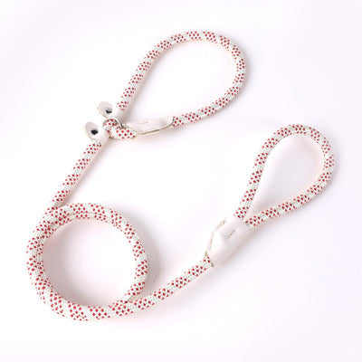 Nylon Strong Slip Lead Dog Leash - Training Leash for Medium Large Dogs