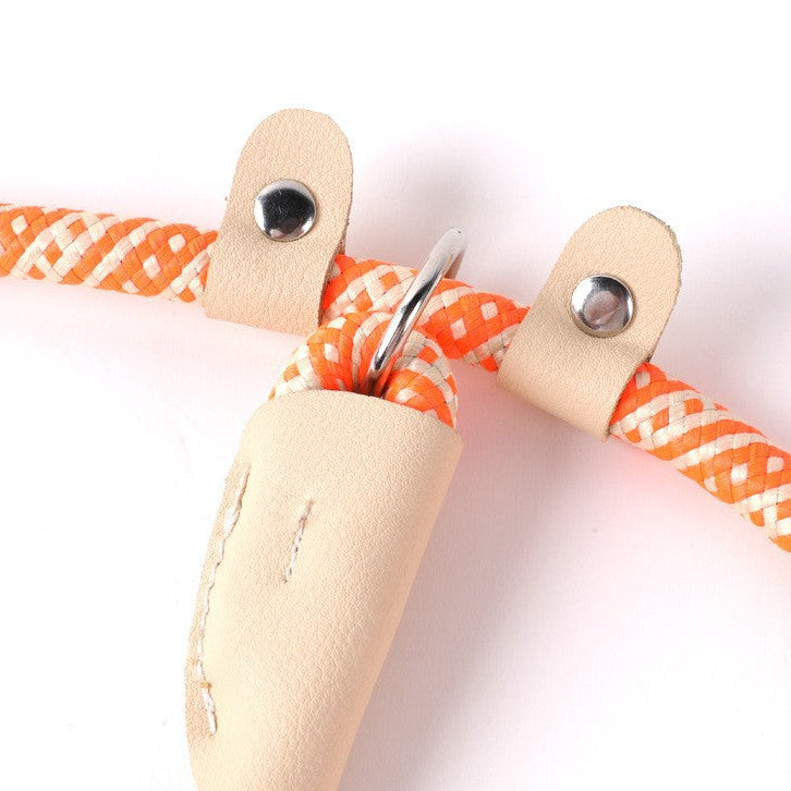 Nylon Strong Slip Lead Dog Leash - Training Leash for Medium Large Dogs