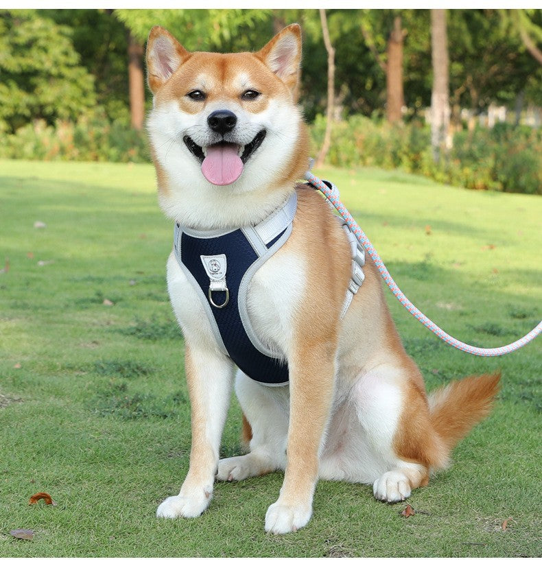 Nylon Strong Slip Lead Dog Leash - Training Leash for Medium Large Dogs