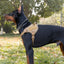 Tactical Dog Harness - Explosion-Proof Dog Harness