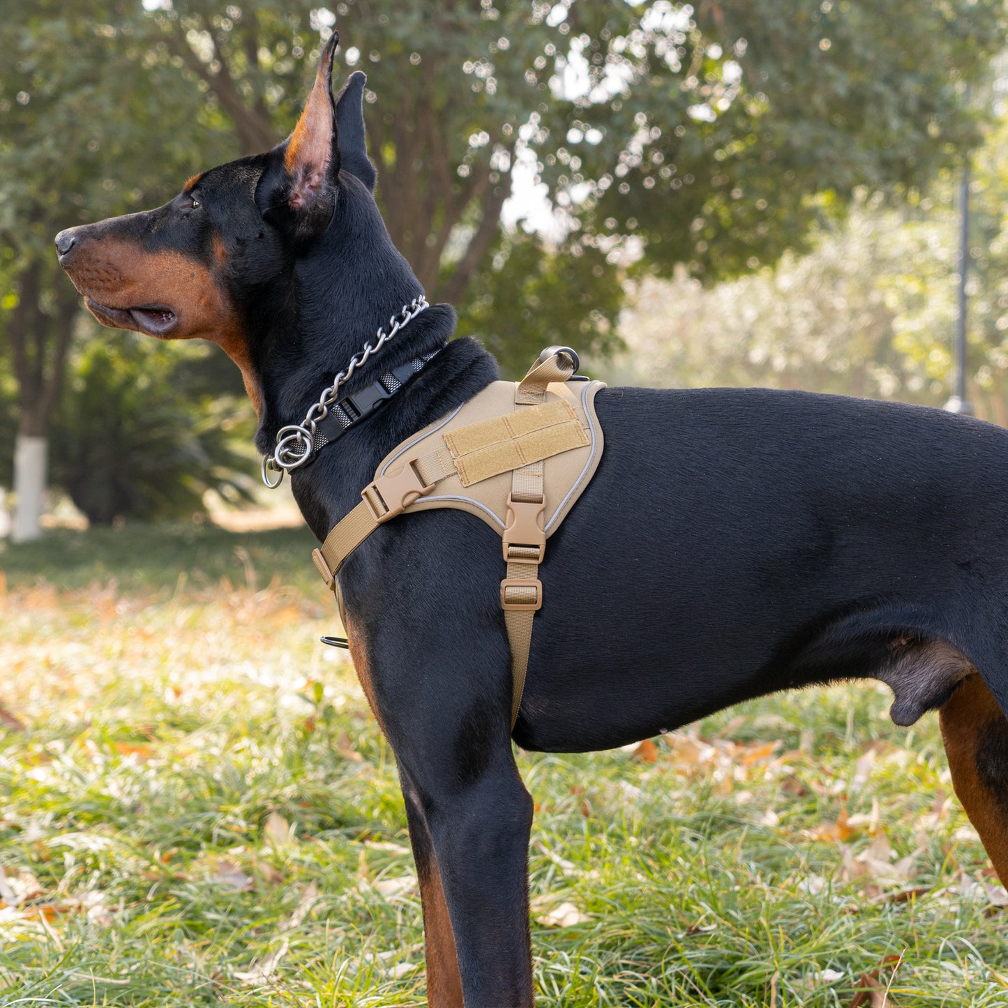 Tactical Dog Harness - Explosion-Proof Dog Harness