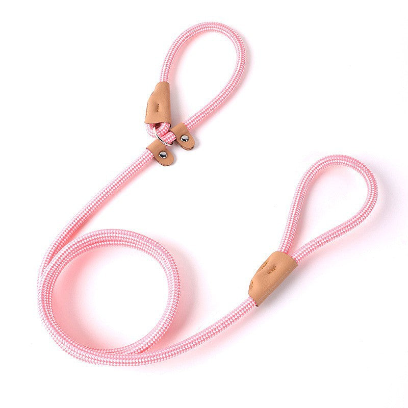 Nylon Strong Slip Lead Dog Leash - Training Leash for Medium Large Dogs