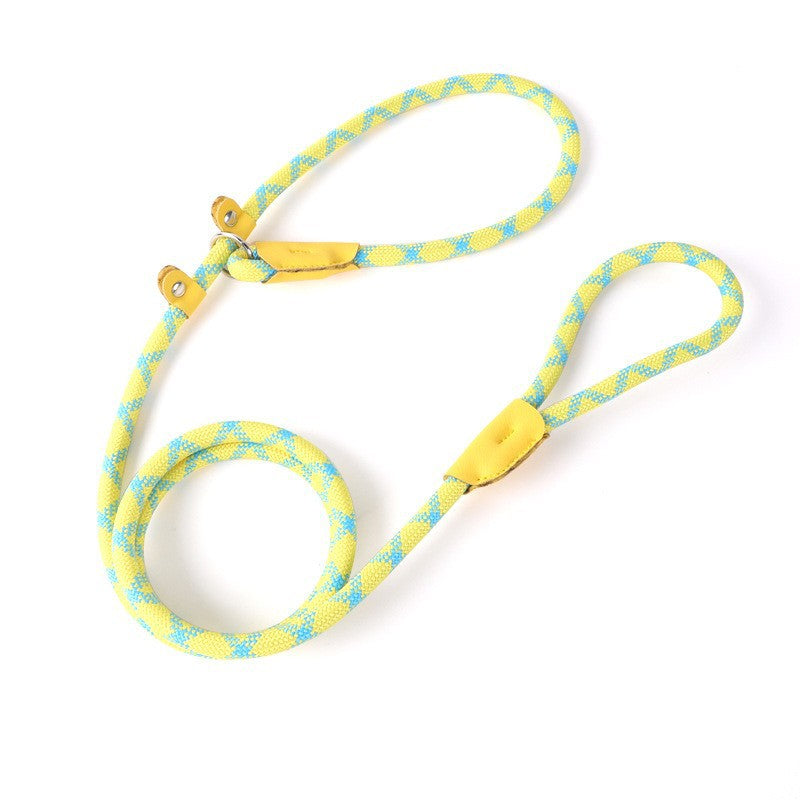 Nylon Strong Slip Lead Dog Leash - Training Leash for Medium Large Dogs