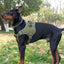 Tactical Dog Harness - Explosion-Proof Dog Harness