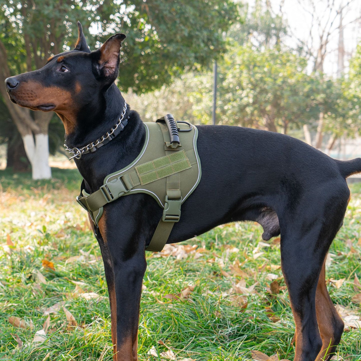 Tactical Dog Harness - Explosion-Proof Dog Harness
