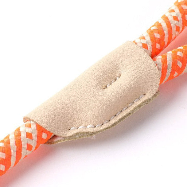 Nylon Strong Slip Lead Dog Leash - Training Leash for Medium Large Dogs