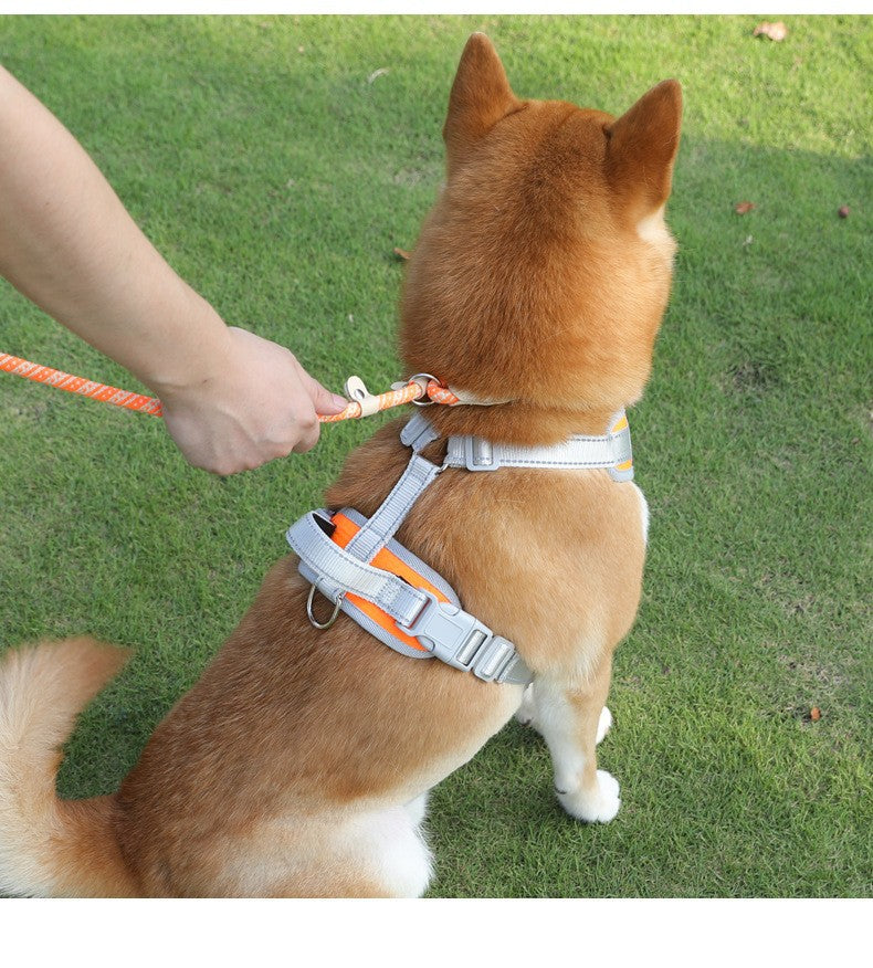 Nylon Strong Slip Lead Dog Leash - Training Leash for Medium Large Dogs