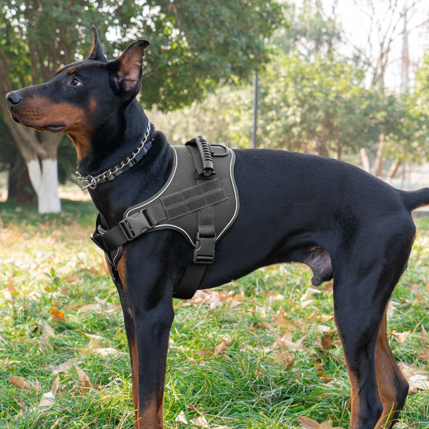 Tactical Dog Harness - Explosion-Proof Dog Harness