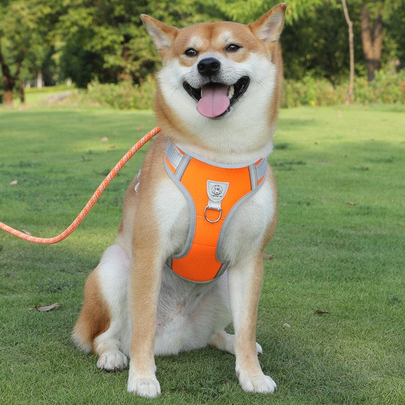 Nylon Strong Slip Lead Dog Leash - Training Leash for Medium Large Dogs