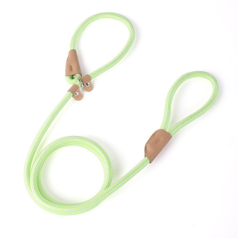 Nylon Strong Slip Lead Dog Leash - Training Leash for Medium Large Dogs