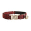 Adjustable Personalized Cat Collar With Removable Bell & Bowtie - iTalkPet