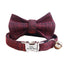 Adjustable Personalized Cat Collar With Removable Bell & Bowtie - iTalkPet