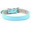 Adjustable PU Leather Dog Collar - iTalkPet