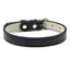 Adjustable PU Leather Dog Collar - iTalkPet