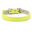 Adjustable PU Leather Dog Collar - iTalkPet