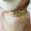 Apple Personalized Dog Collar with Leas & Bow tie Set - iTalkPet