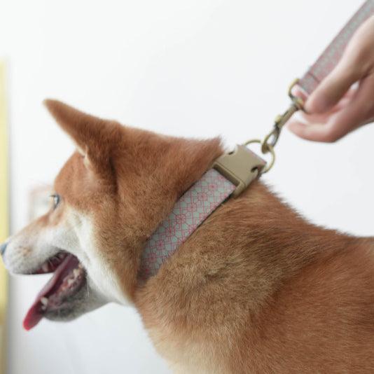 Aqua Glaze Personalized Dog Collar with Leas & Bow tie Set - iTalkPet