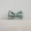 Aqua Glaze Personalized Dog Collar with Leas & Bow tie Set - iTalkPet