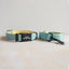 Banana Personalized Dog Collar with Leas & Bow tie Set - iTalkPet