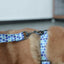 Blue Berry Personalized Dog Collar with Leas & Bow tie Set - iTalkPet