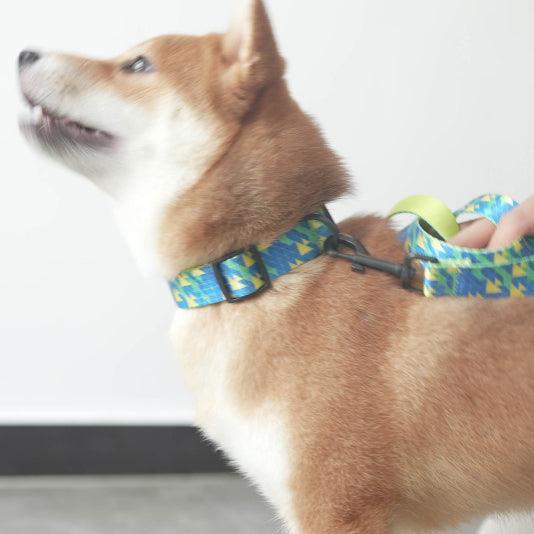 Blue Sea Personalized Dog Collar with Leas & Bow tie Set - iTalkPet