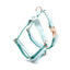 Blue Teal Velvet Personalized Dog Collar Leash Harness Bowtie Poop Bag Set - iTalkPet