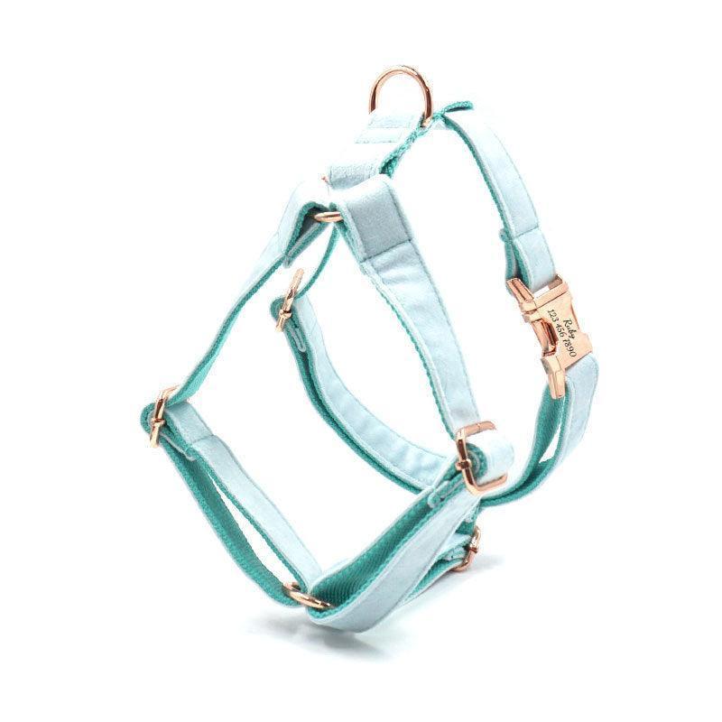 Blue Teal Velvet Personalized Dog Collar Leash Harness Bowtie Poop Bag Set - iTalkPet