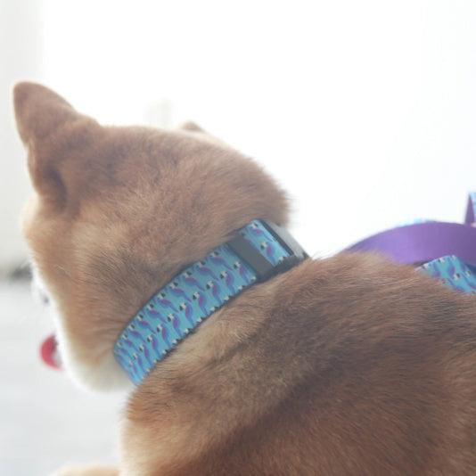 Blue Toucan Personalized Dog Collar with Leas & Bow tie Set - iTalkPet