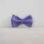 Blue Toucan Personalized Dog Collar with Leas & Bow tie Set - iTalkPet
